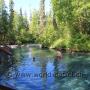 Heisse Quellen - Liard Hot Springs - sehr schön, ca. 52 °C, mitten in der Natur